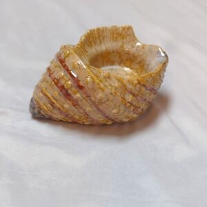 Vintage Ceramic Conch Shell Beach Nautical Votive Tea Light Candle Holder